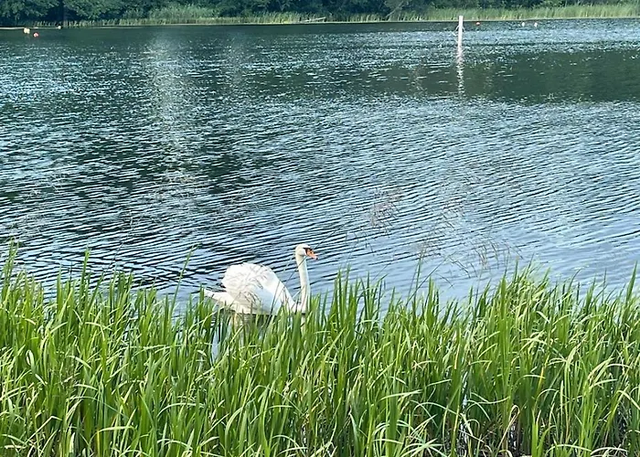 Luksusowy namiot Idyllaglamp- Glamping Boho