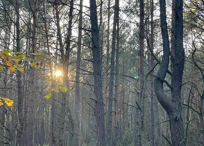 Idyllaglamp- Glamping Boho Dzbadzek